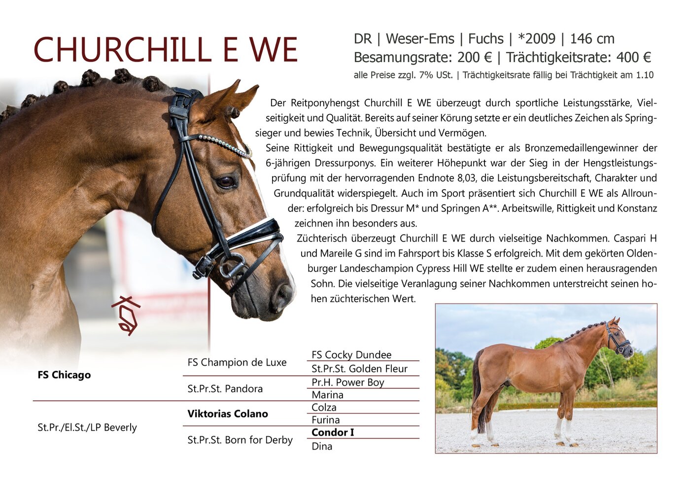 Churchill E WE - Datenblatt