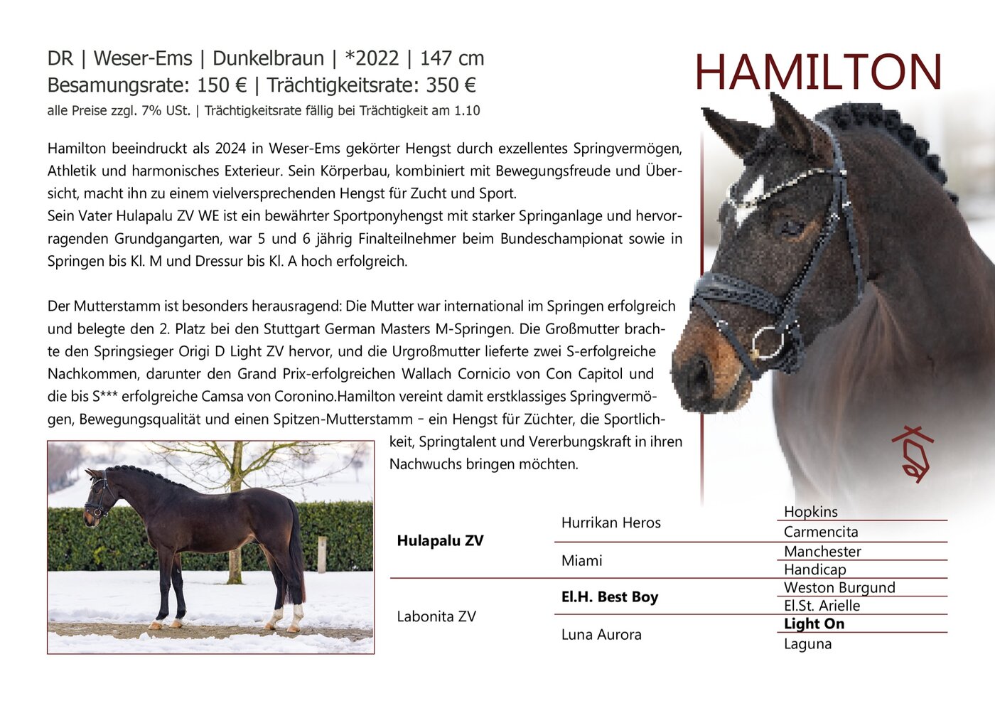 HAMILTON - Datenblatt