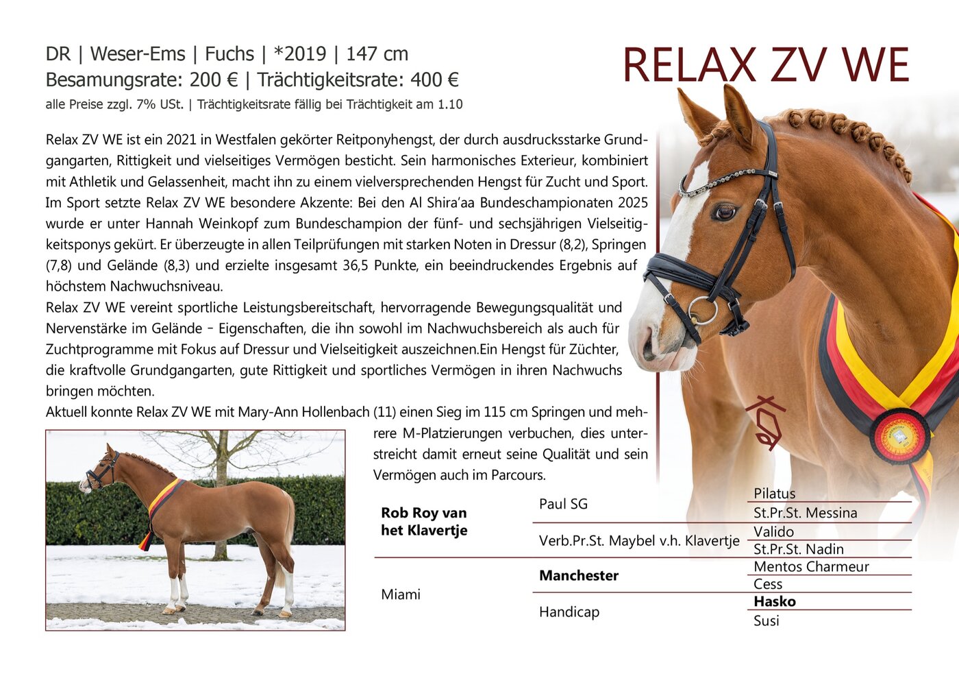 RELAX ZV WE - Datenblatt