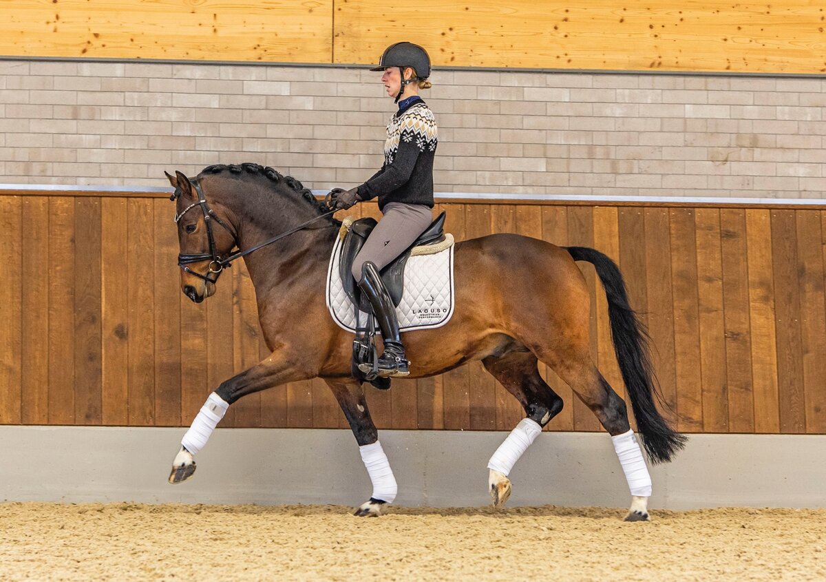 Weidners DARK KNIGHT